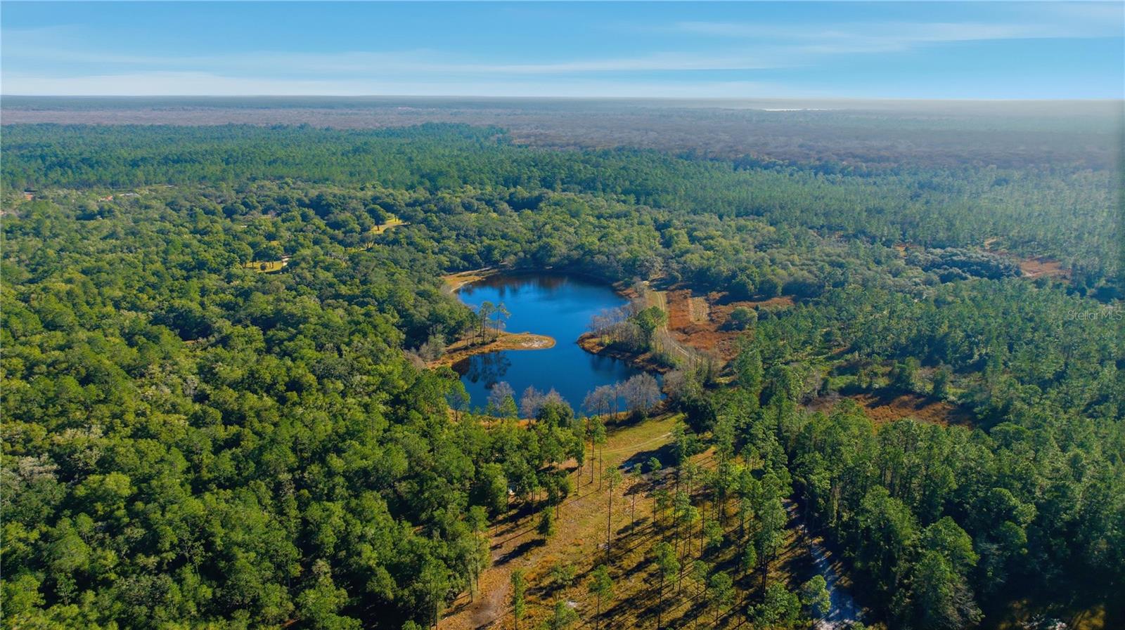 TBD (Lot 6) NE 115TH LANE RD, FORT MC COY, FL — photo 3