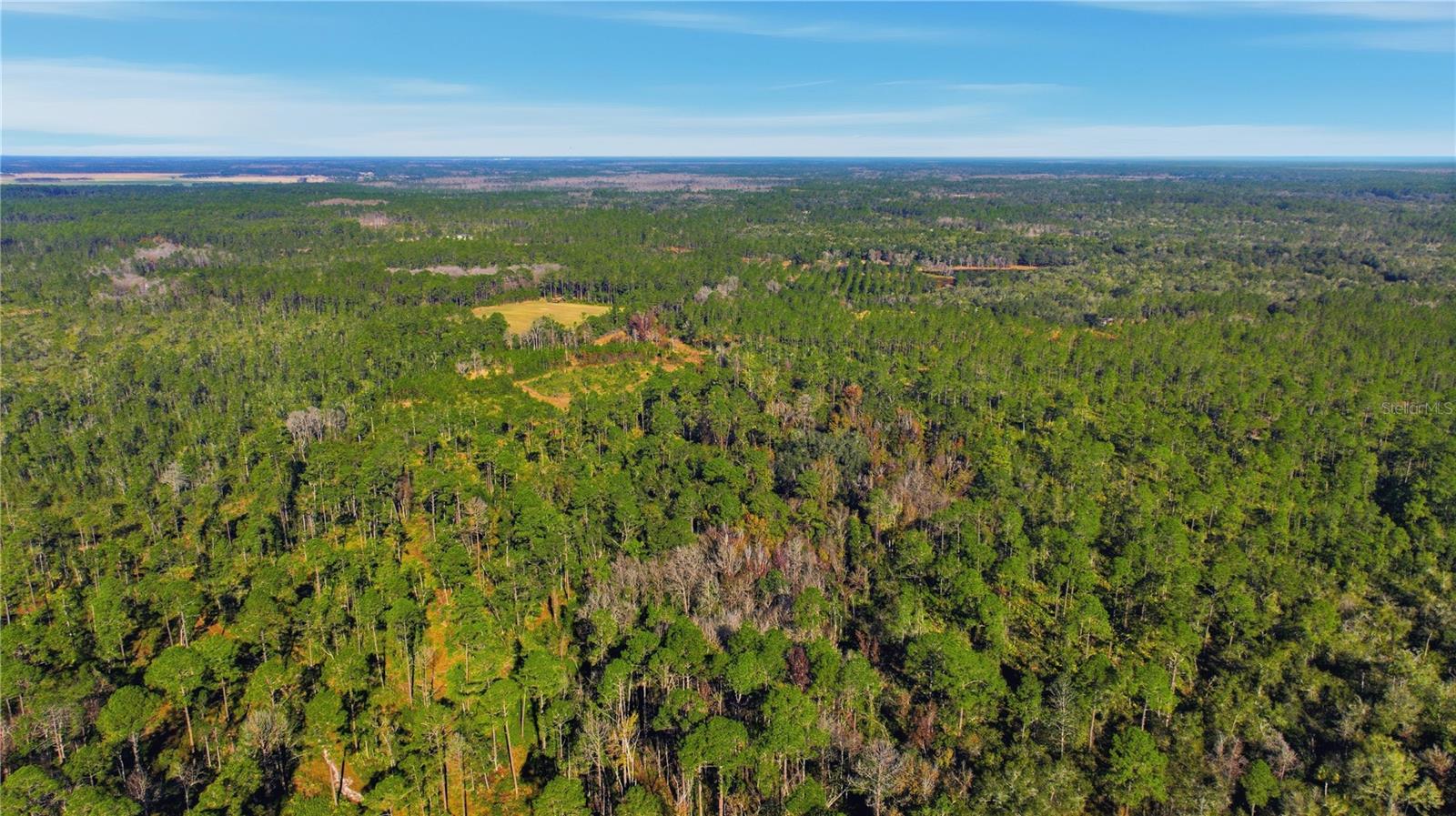 TBD (Lot 6) NE 115TH LANE RD, FORT MC COY, FL — photo 5