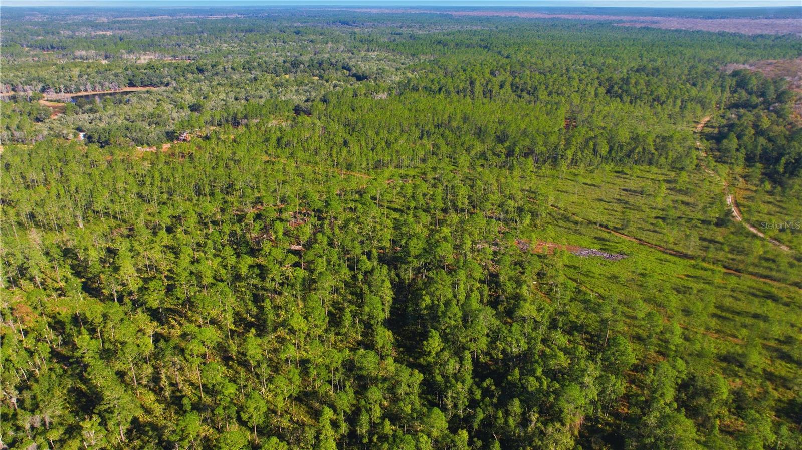 TBD (Lot 6) NE 115TH LANE RD, FORT MC COY, FL — photo 6