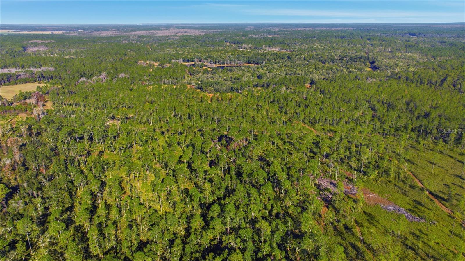 TBD (Lot 6) NE 115TH LANE RD, FORT MC COY, FL — photo 7
