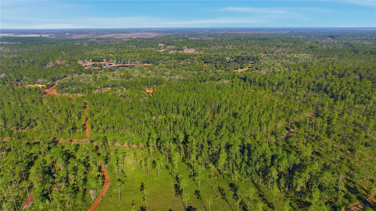 TBD (Lot 6) NE 115TH LANE RD, FORT MC COY, FL — photo 8