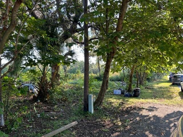 10207 E PIKE DR, INVERNESS, FL — photo 11