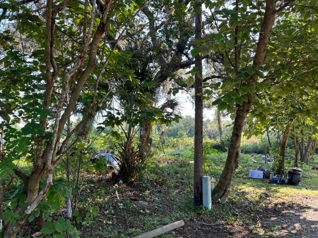 10207 E PIKE DR, INVERNESS, FL — photo 13
