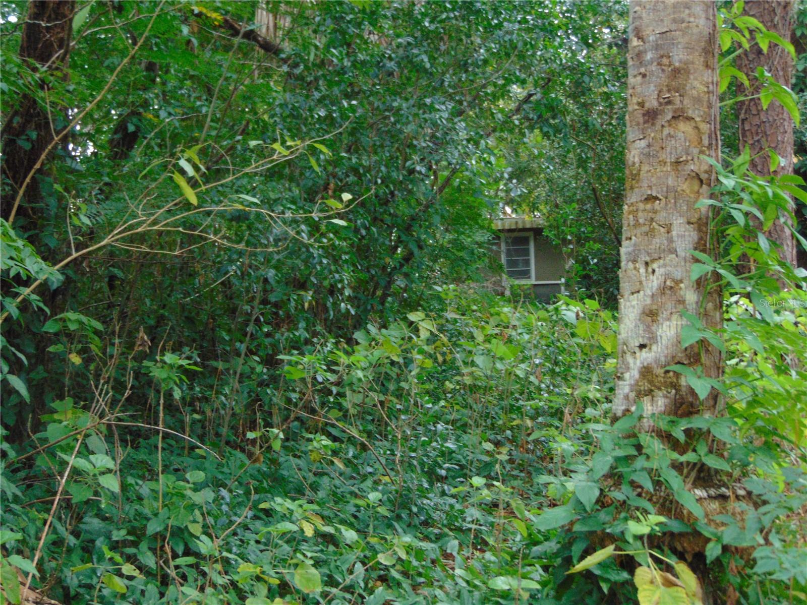 FAIRWAY AVENUE, EUSTIS, FL — photo 10
