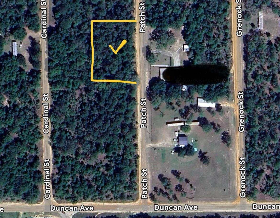 PATCH ST, INTERLACHEN, FL