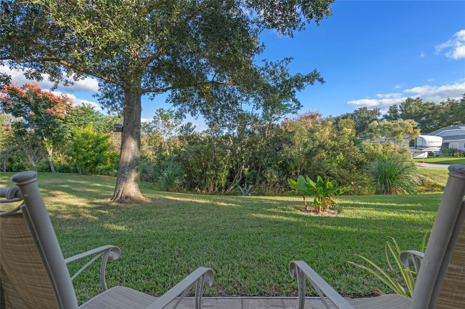 25300 HIBISCUS ST, LEESBURG, FL — photo 5