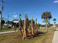 24501 YACHT CLUB BLVD — photo 26