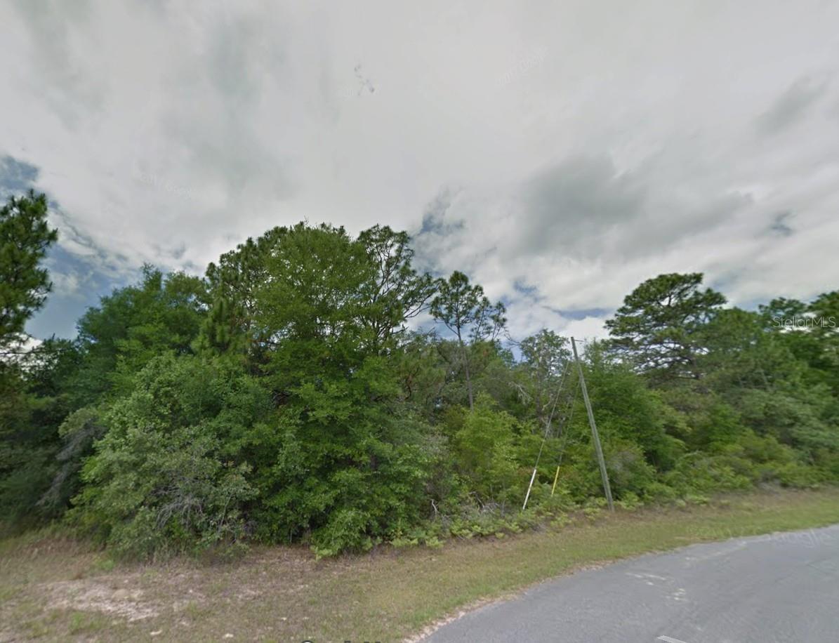 1784 W LORRAINE DR, CITRUS SPRINGS, FL — photo 2