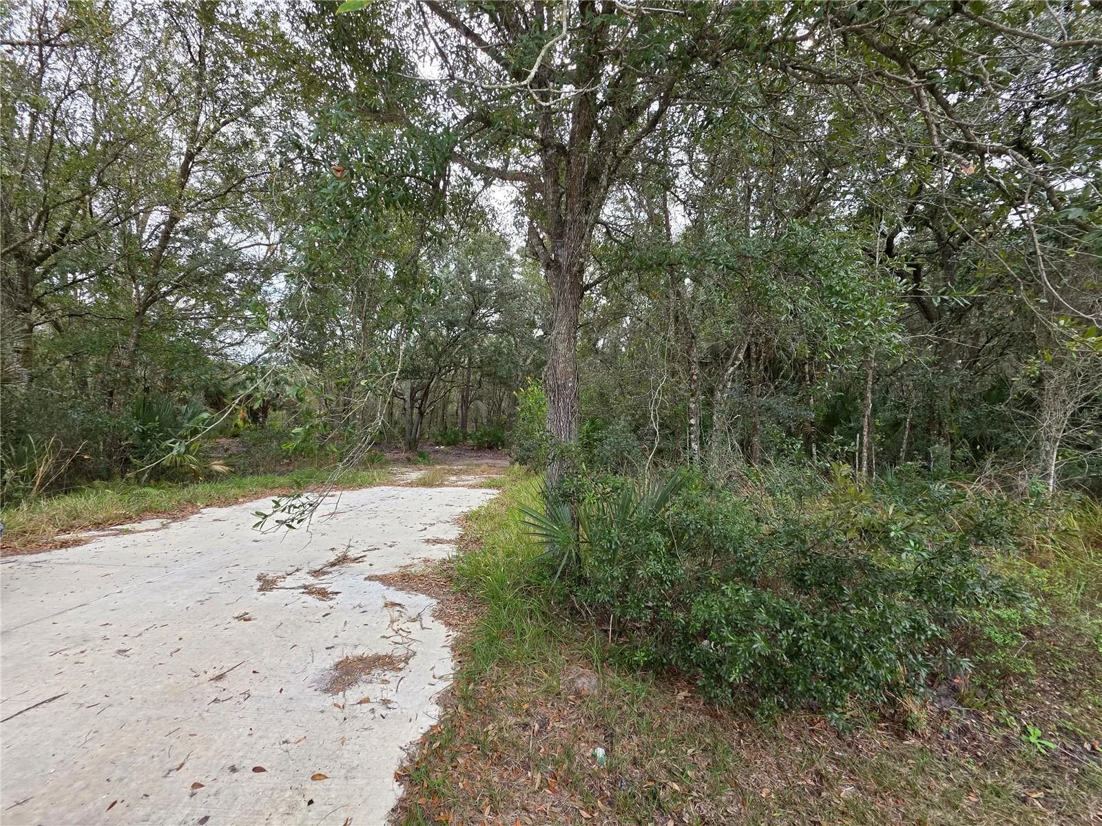 0 STATE ROAD 60 E, LAKE WALES, FL — photo 1