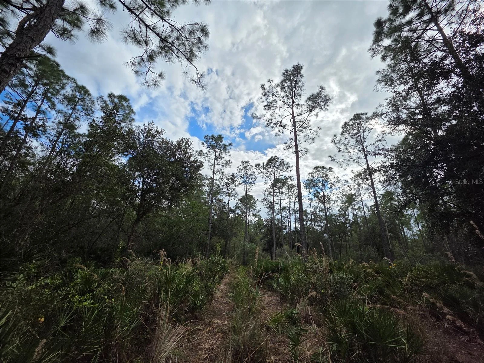 0 STATE ROAD 60 E, LAKE WALES, FL — photo 6