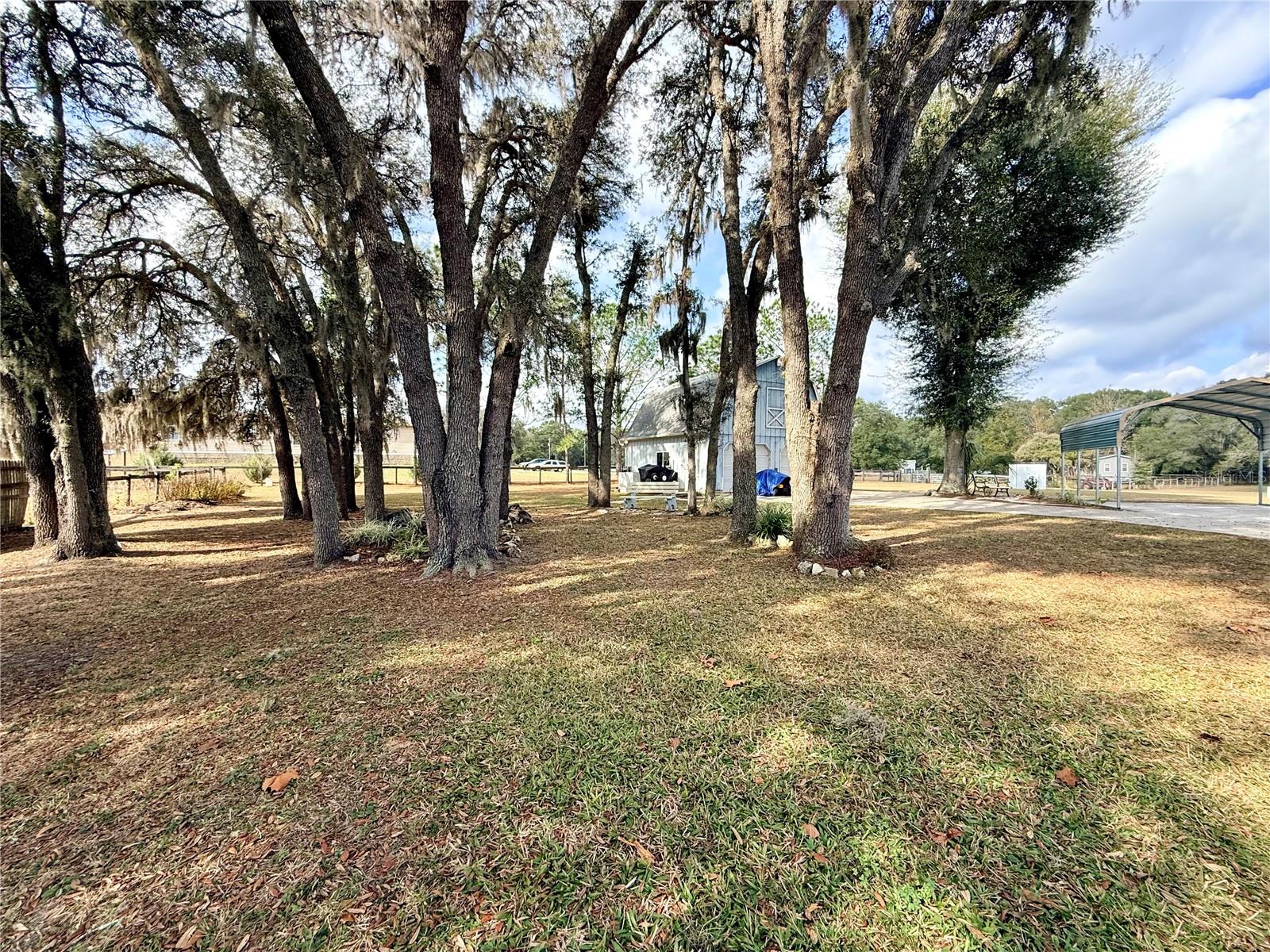 10340 SE 25TH AVE, OCALA, FL — photo 70
