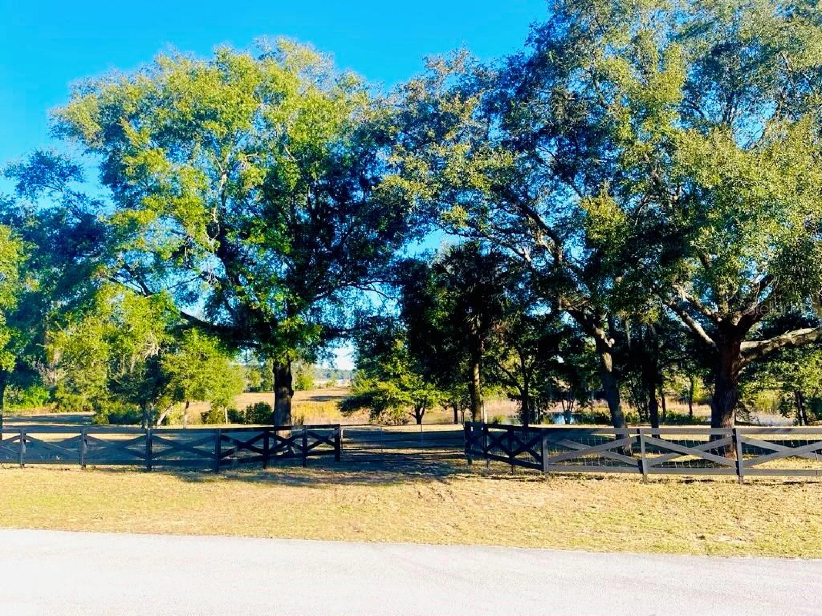 HUNTERS TRACE LN, CLERMONT, FL — photo 1