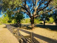 HUNTERS TRACE LN — photo 9