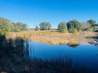 HUNTERS TRACE LN — photo 27