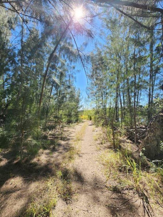 1805 JEFFERSON AVE, LEHIGH ACRES, FL — photo 8