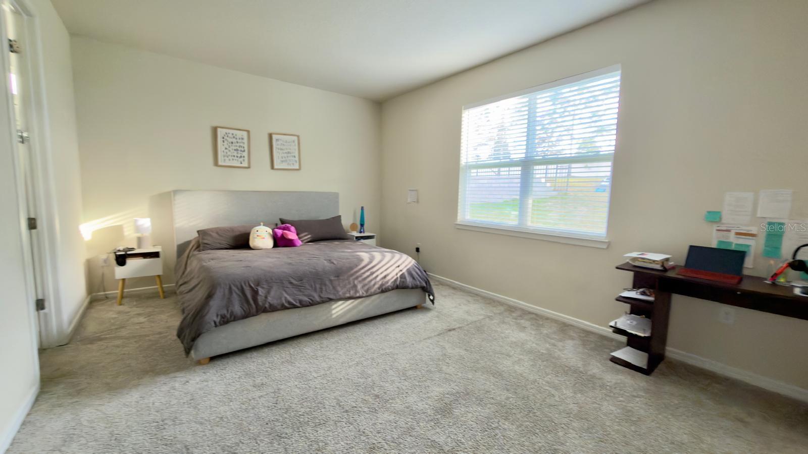 4620 GLIDING WAVE ST, WINTER GARDEN, FL — photo 63