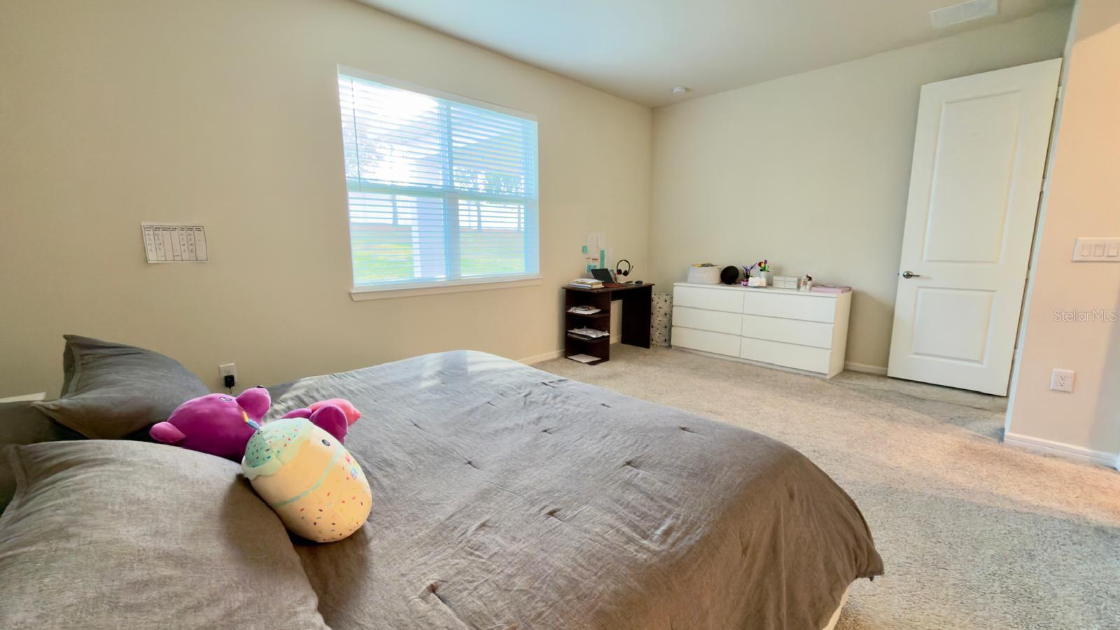 4620 GLIDING WAVE ST, WINTER GARDEN, FL — photo 66