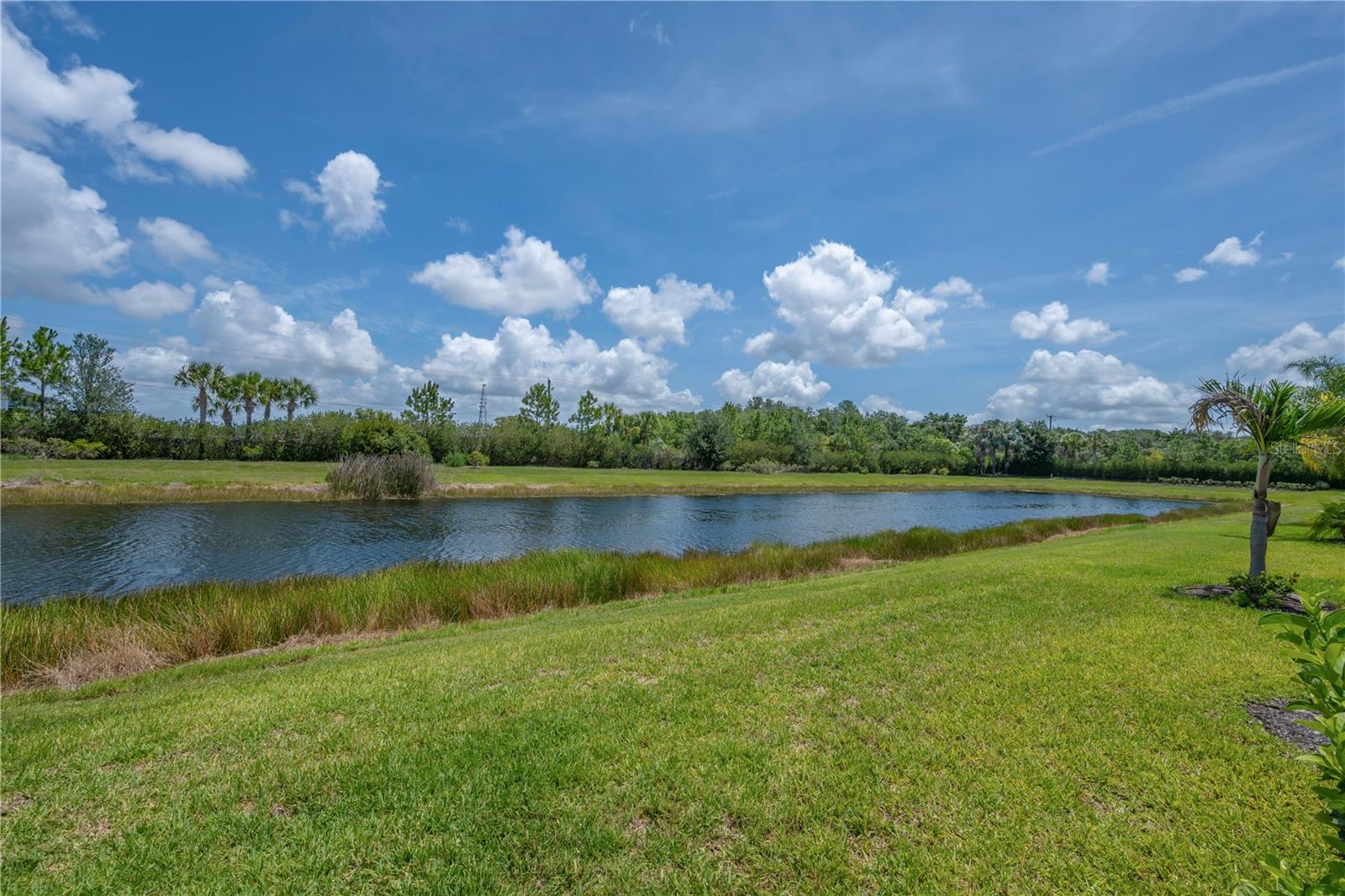 15433 SANTA POLA DR, WIMAUMA, FL — photo 21