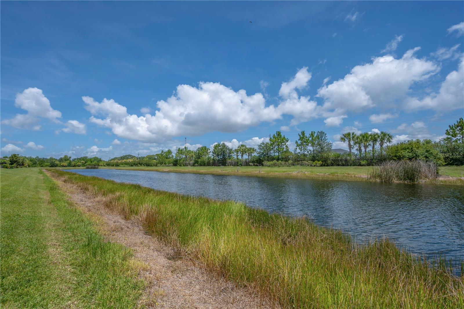 15433 SANTA POLA DR, WIMAUMA, FL — photo 22