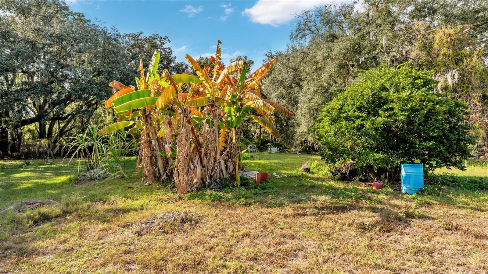 23 VIOLET ST, PLANT CITY, FL — photo 5