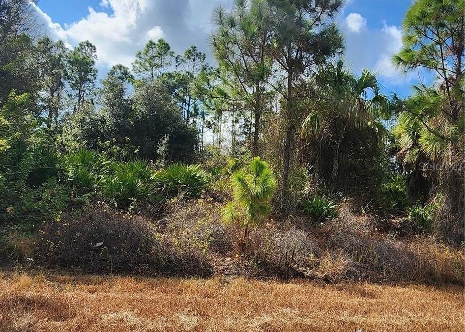 FILBERT ST, NORTH PORT, FL