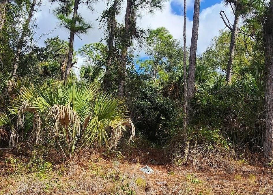 ANANAS RD, NORTH PORT, FL
