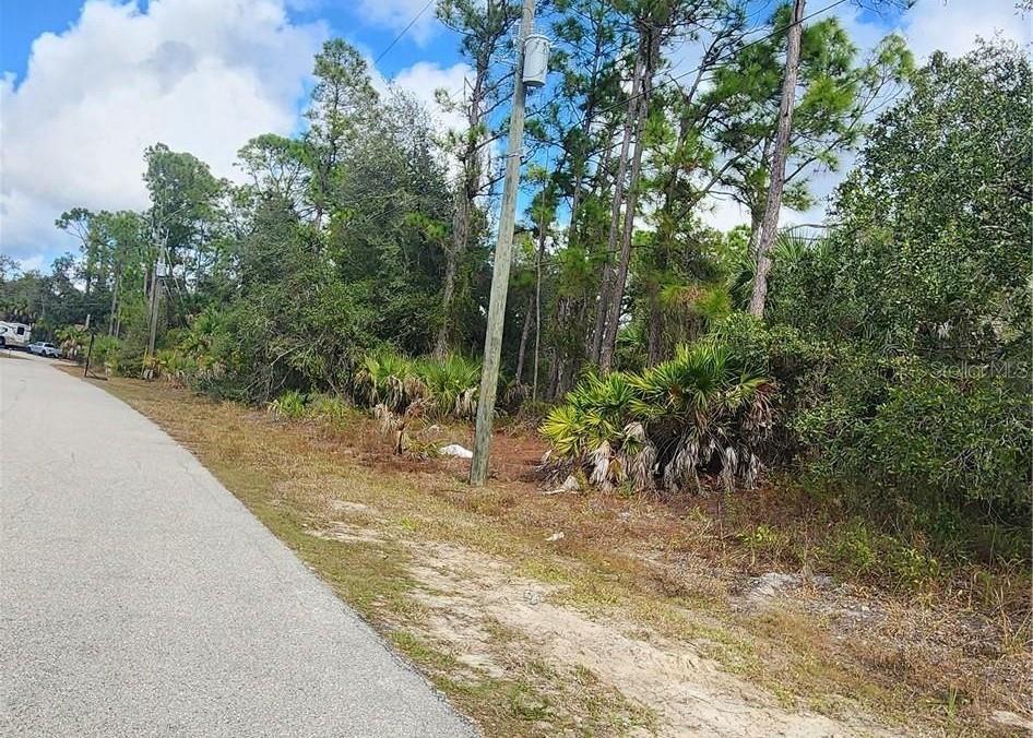 ANANAS RD, NORTH PORT, FL — photo 2