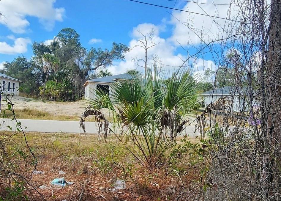 ANANAS RD, NORTH PORT, FL — photo 3