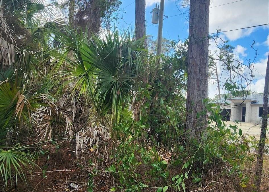 ANANAS RD, NORTH PORT, FL — photo 4