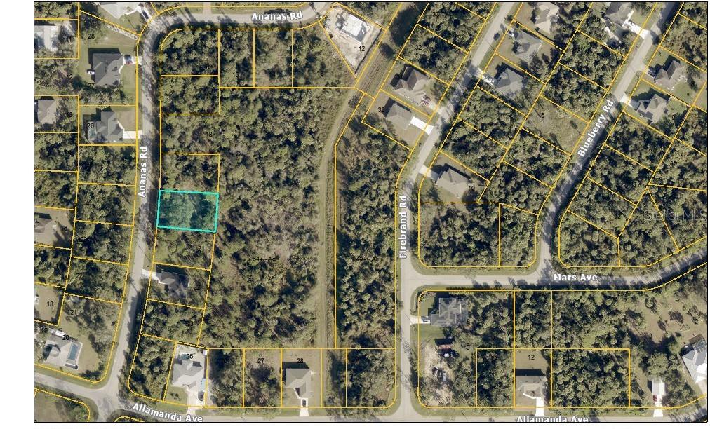 ANANAS RD, NORTH PORT, FL — photo 5