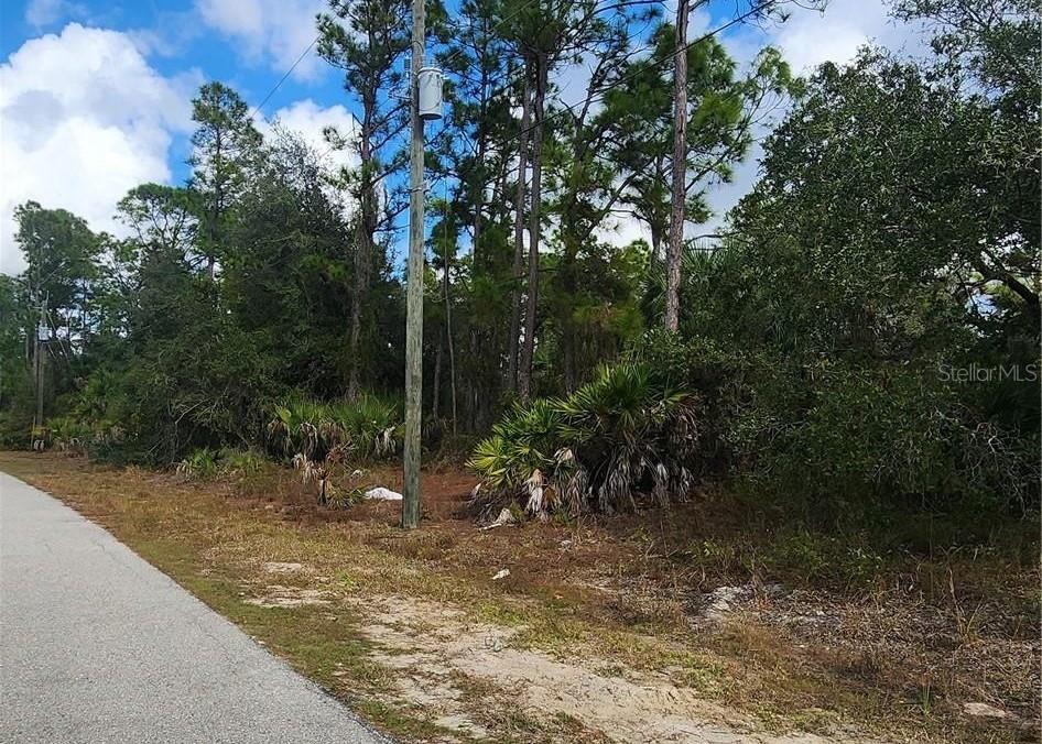 ANANAS RD, NORTH PORT, FL — photo 6