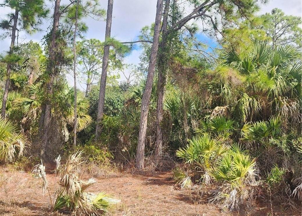 ANANAS RD, NORTH PORT, FL — photo 7