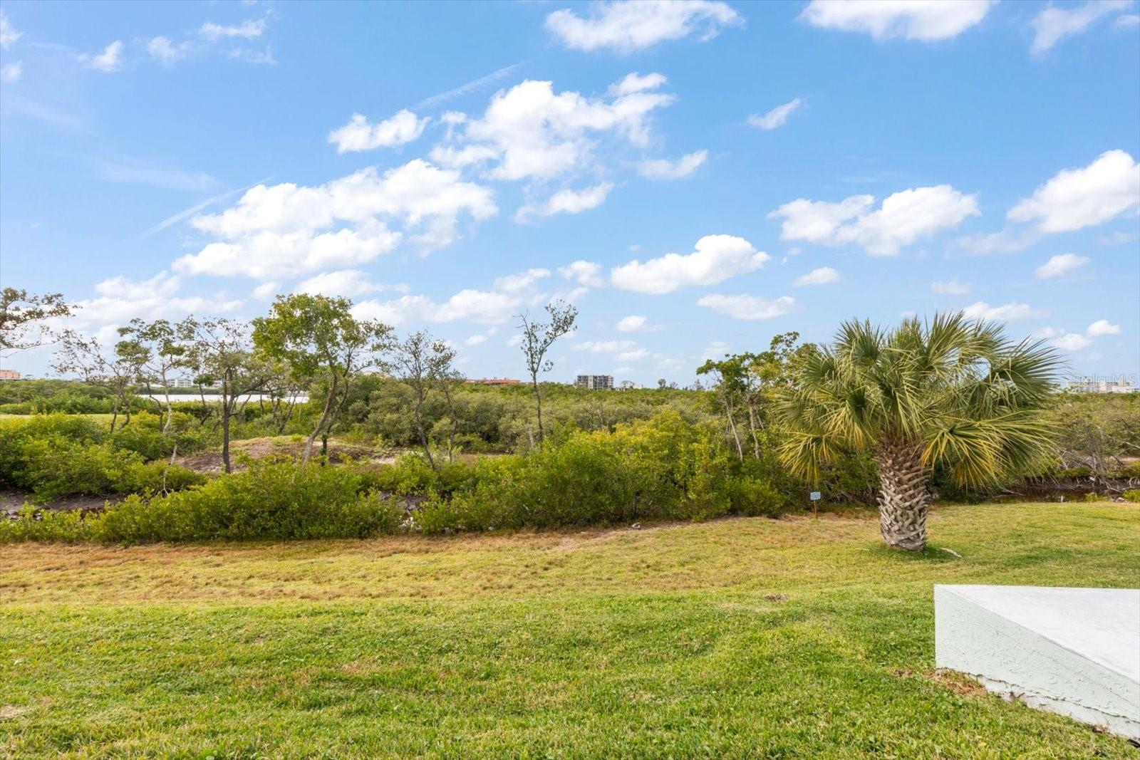 9434 TARA CAY CT #25, SEMINOLE, FL — photo 32