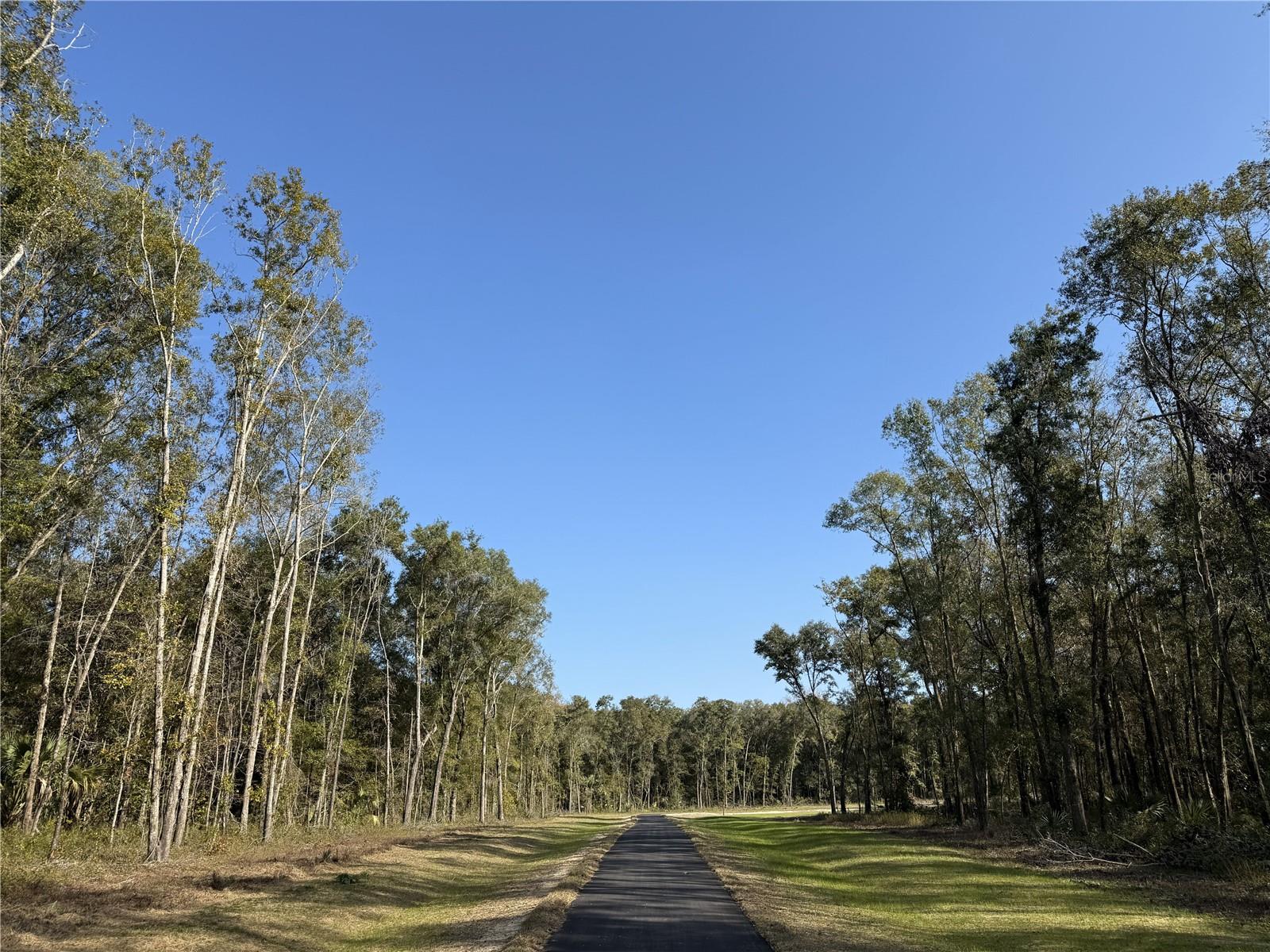 Irvine Acres #3 (10ac) W HWY 318, REDDICK, FL