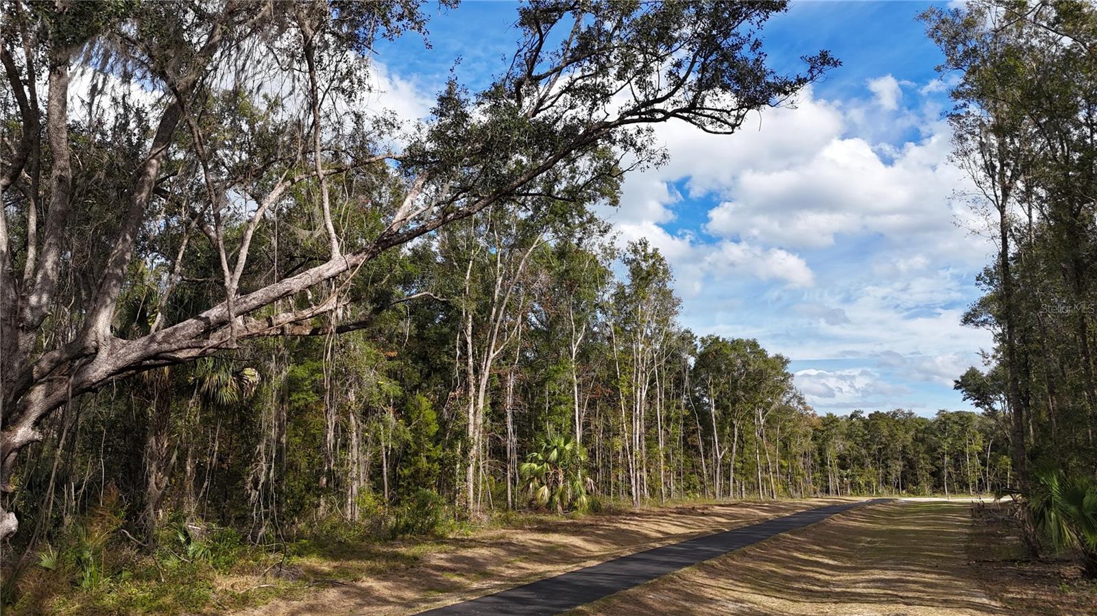 Irvine Acres #3 (10ac) W HWY 318, REDDICK, FL — photo 3