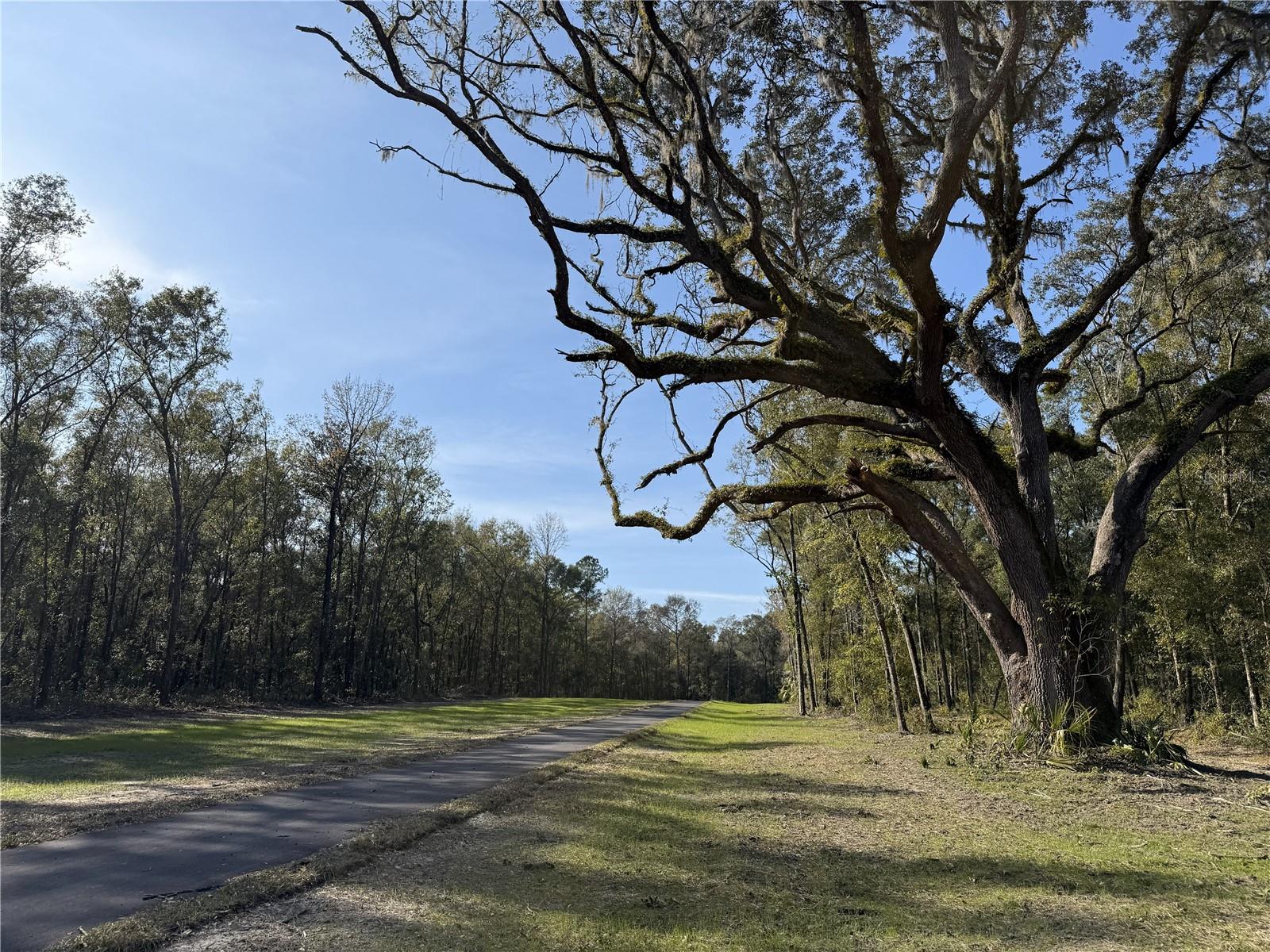 Irvine Acres #3 (10ac) W HWY 318, REDDICK, FL — photo 5