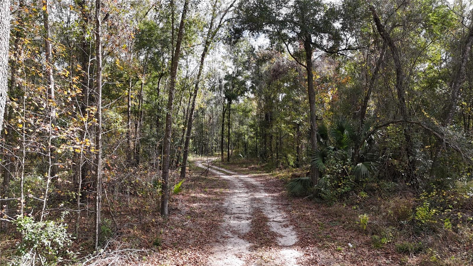 Irvine Acres #3 (10ac) W HWY 318, REDDICK, FL — photo 12
