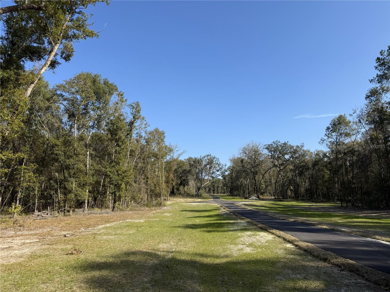 Irvine Acres #3 (10ac) W HWY 318, REDDICK, FL — photo 13