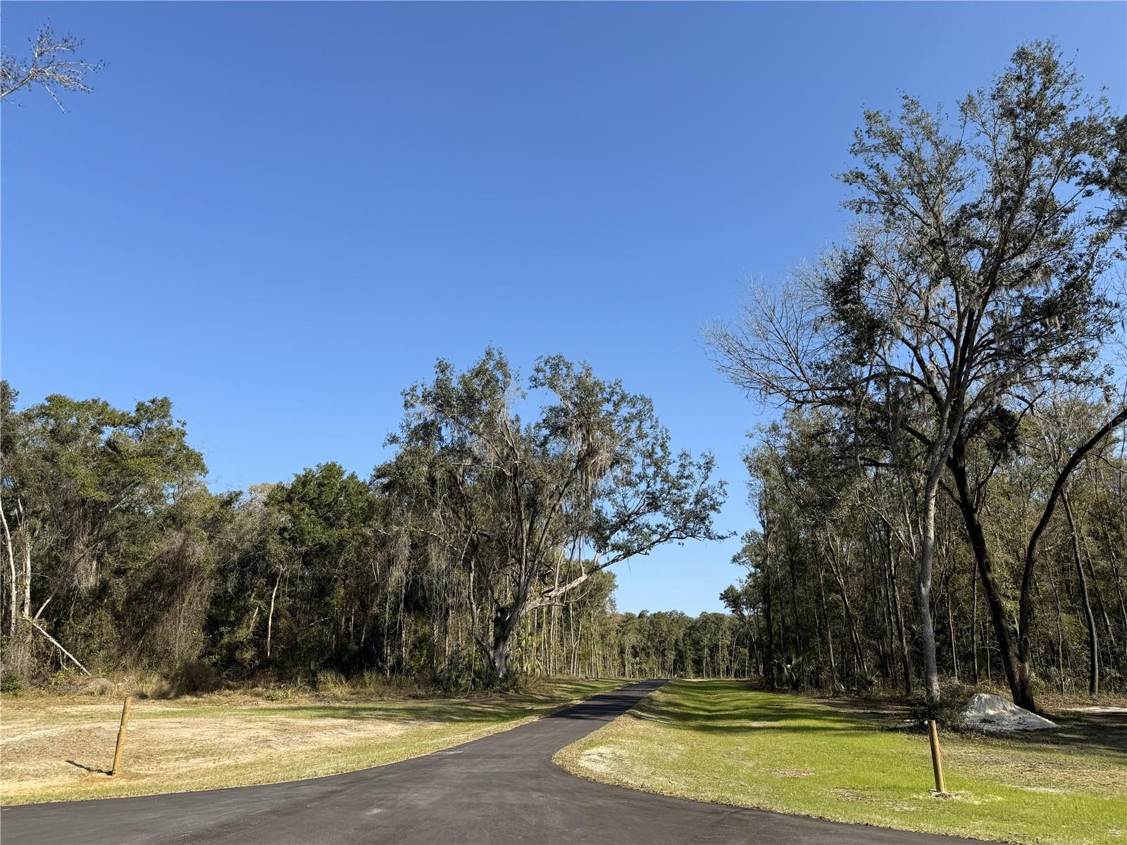 Irvine Acres #3 (10ac) W HWY 318, REDDICK, FL — photo 15