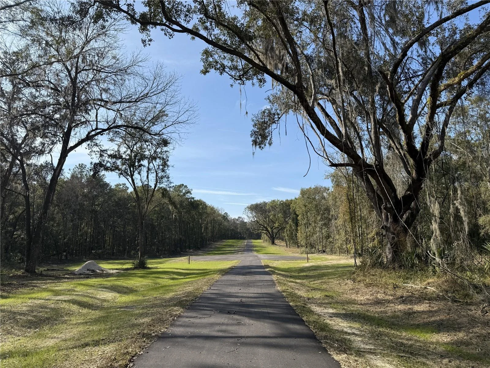 Irvine Acres #3 (10ac) W HWY 318, REDDICK, FL — photo 18