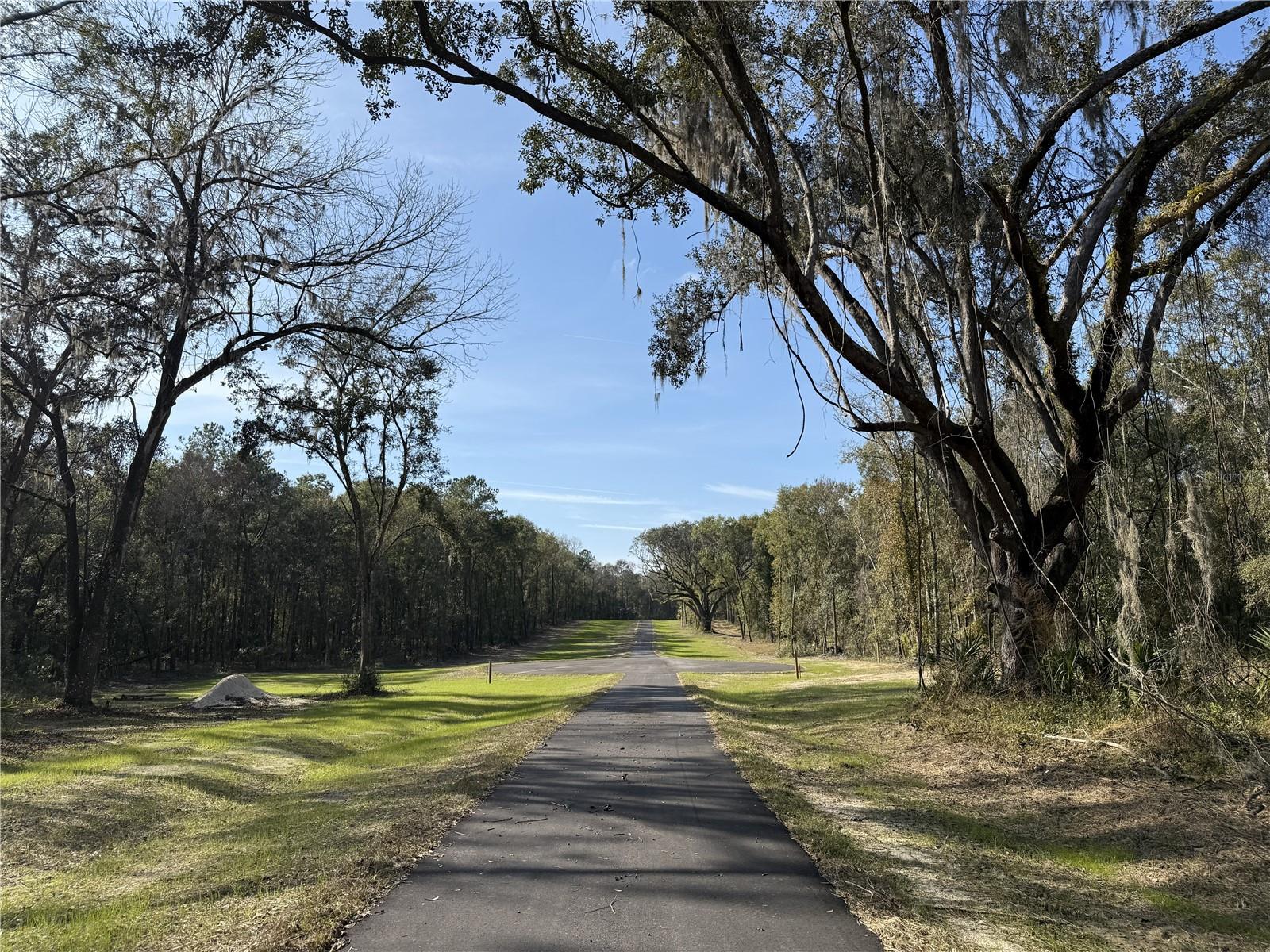 Irvine Acres #3 (10ac) W HWY 318, REDDICK, FL — photo 17