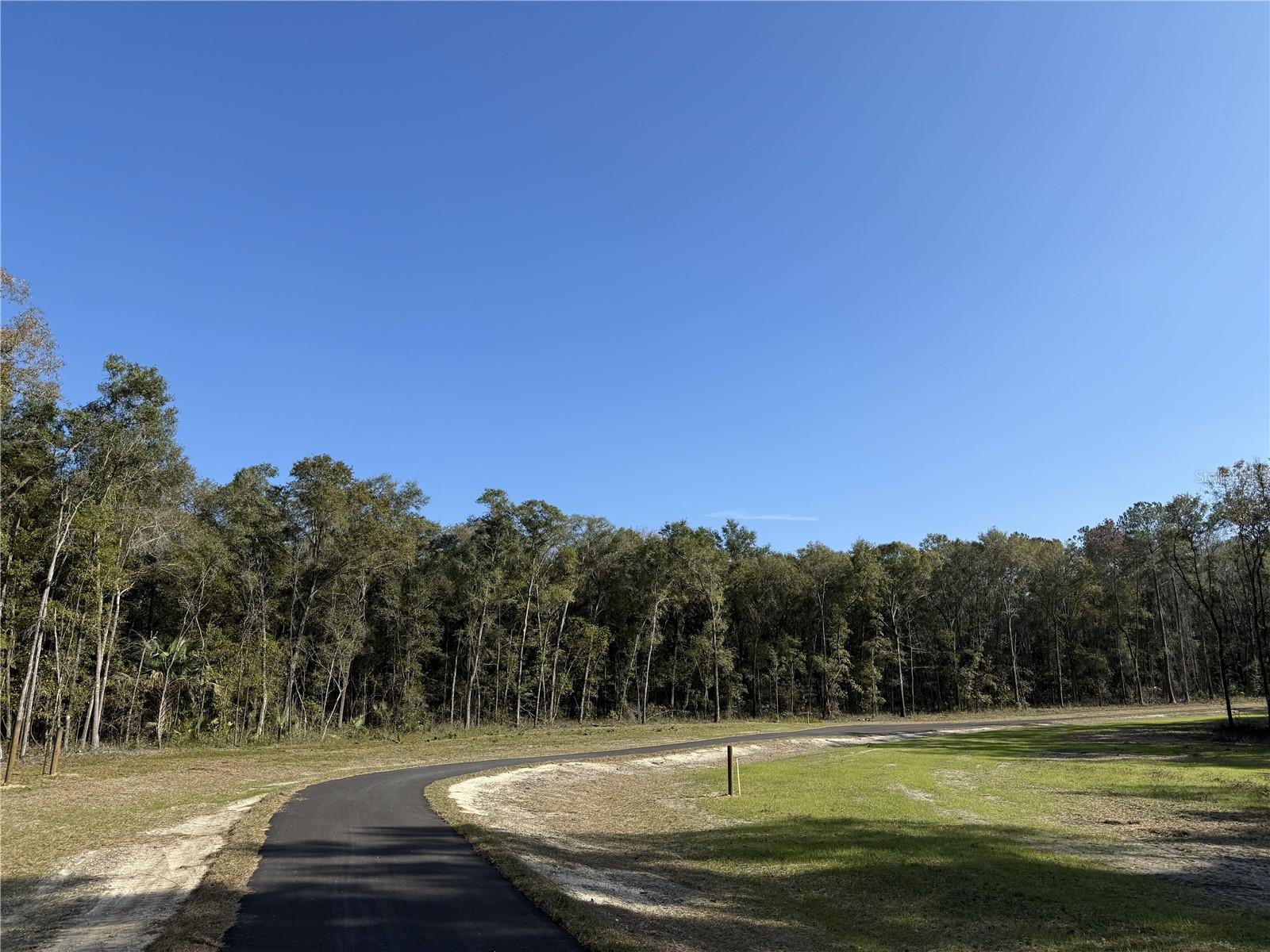 Irvine Acres #3 (10ac) W HWY 318, REDDICK, FL — photo 20
