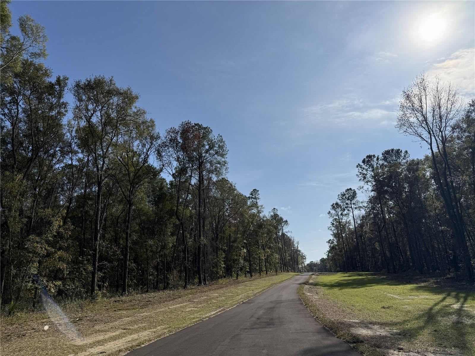 Irvine Acres #3 (10ac) W HWY 318, REDDICK, FL — photo 21
