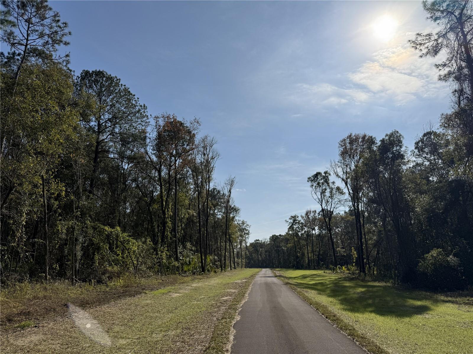 Irvine Acres #3 (10ac) W HWY 318, REDDICK, FL — photo 26
