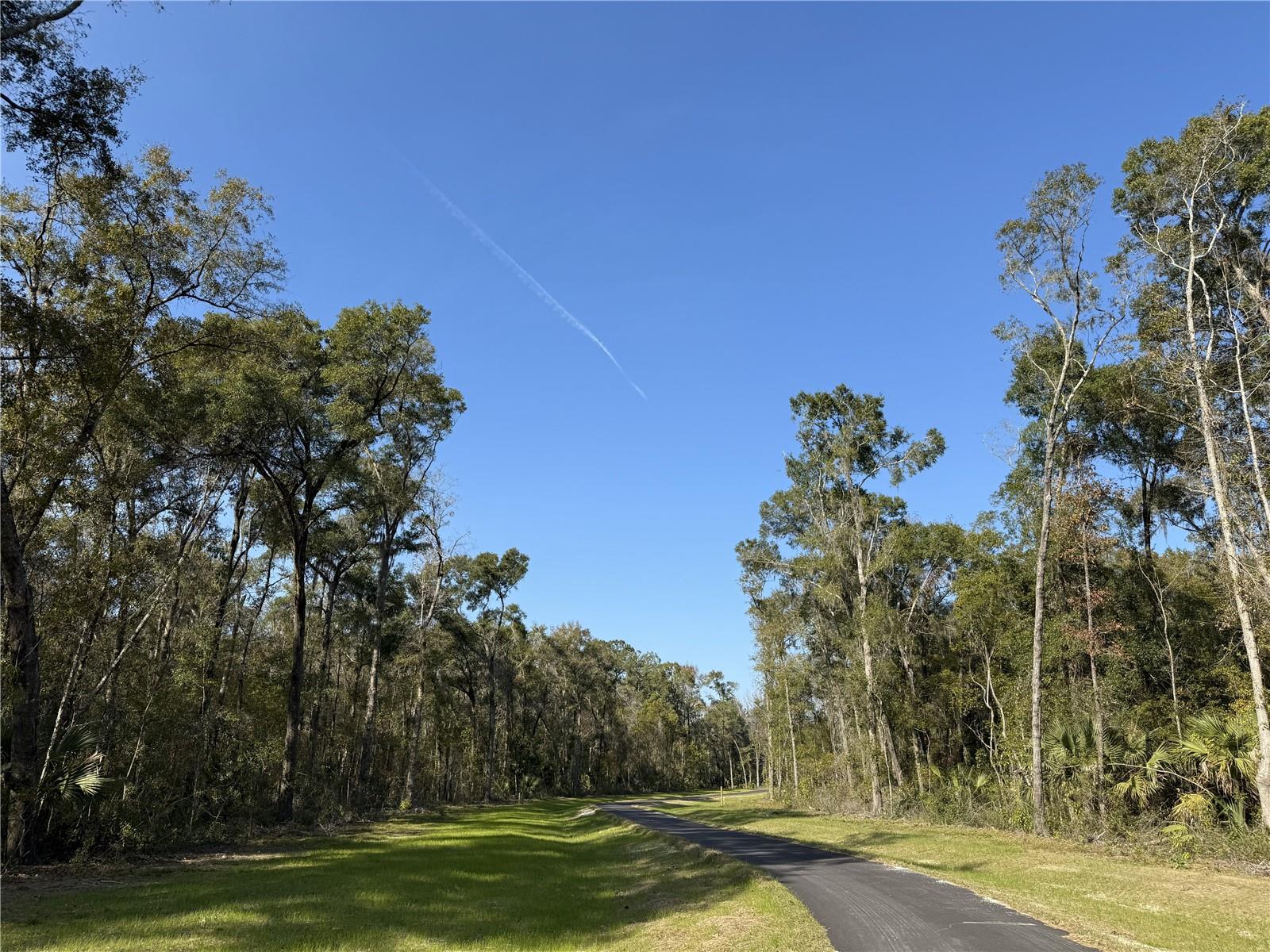 Irvine Acres #3 (10ac) W HWY 318, REDDICK, FL — photo 30