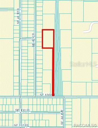 130TH ST, BELLEVIEW, FL