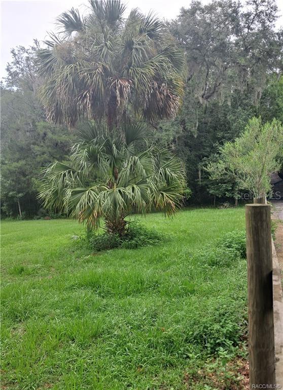 130TH ST, BELLEVIEW, FL — photo 5