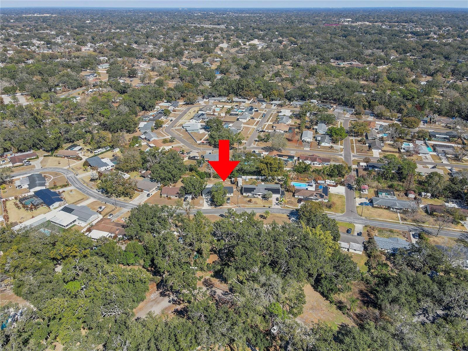 606 DALI DR, BRANDON, FL — photo 49