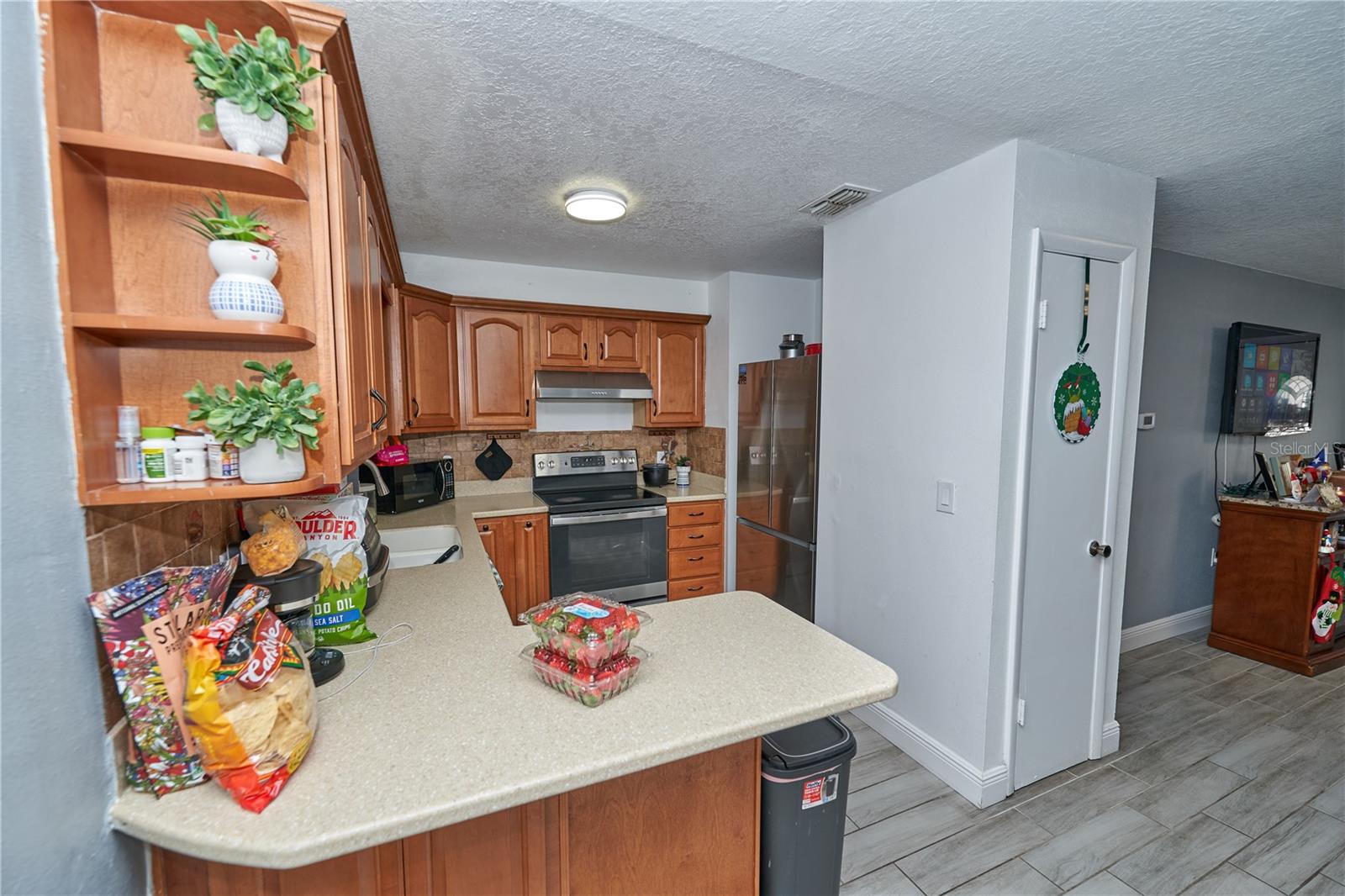 7520 LOIS MARIE CT, ORLANDO, FL — photo 10