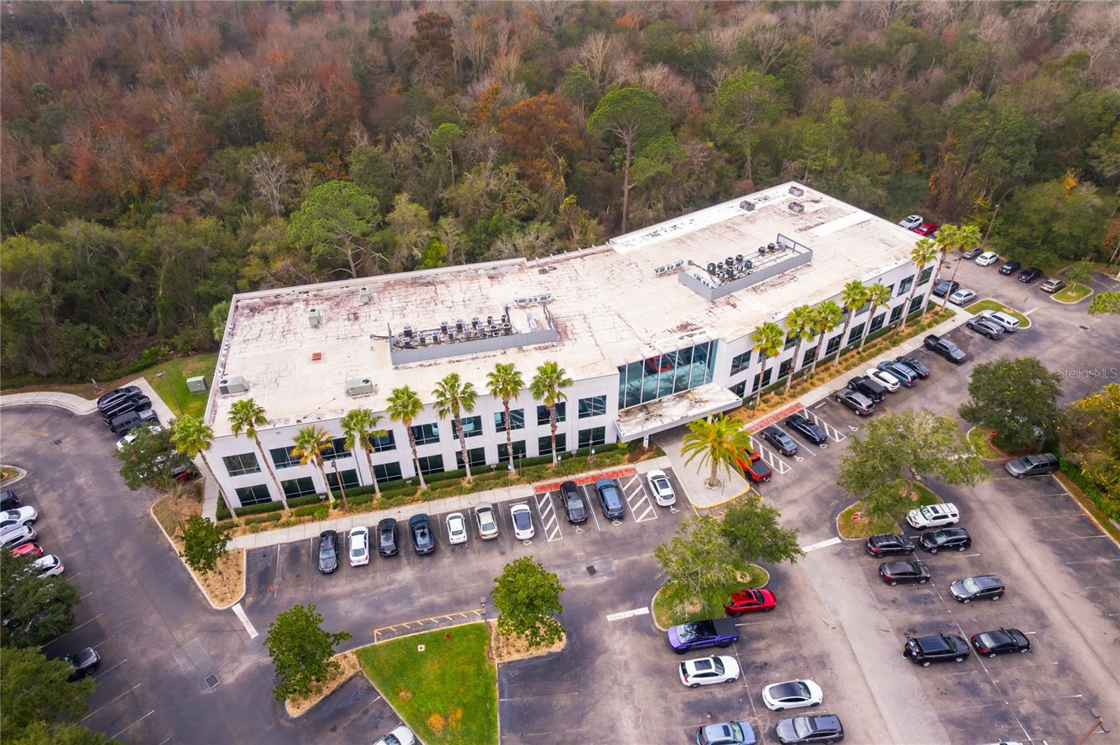 7560 RED BUG LAKE RD #2014, OVIEDO, FL — photo 37